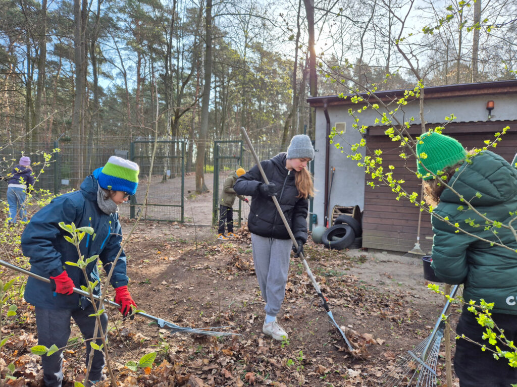 Uczniowie w trakcie prac porządkowych na terenie Zoo