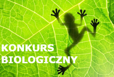 Created with GIMP
