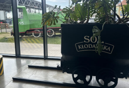 sol kopalnia soli Kłodawa